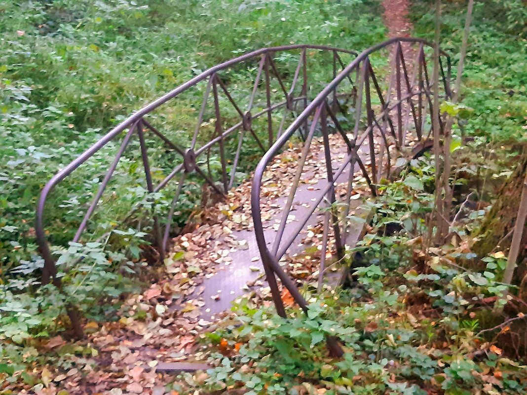 Лесной мостик - Екатерина К.