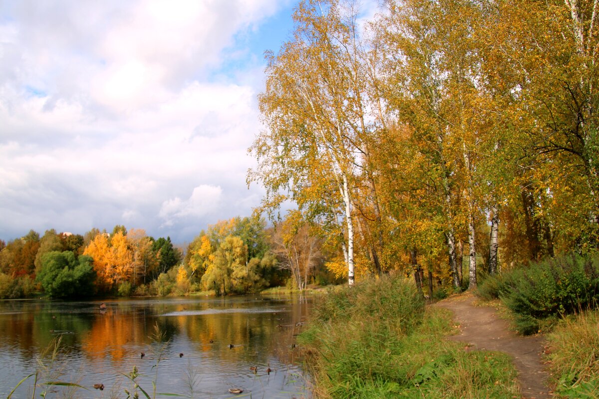 Осень на озере - владимир тимошенко 