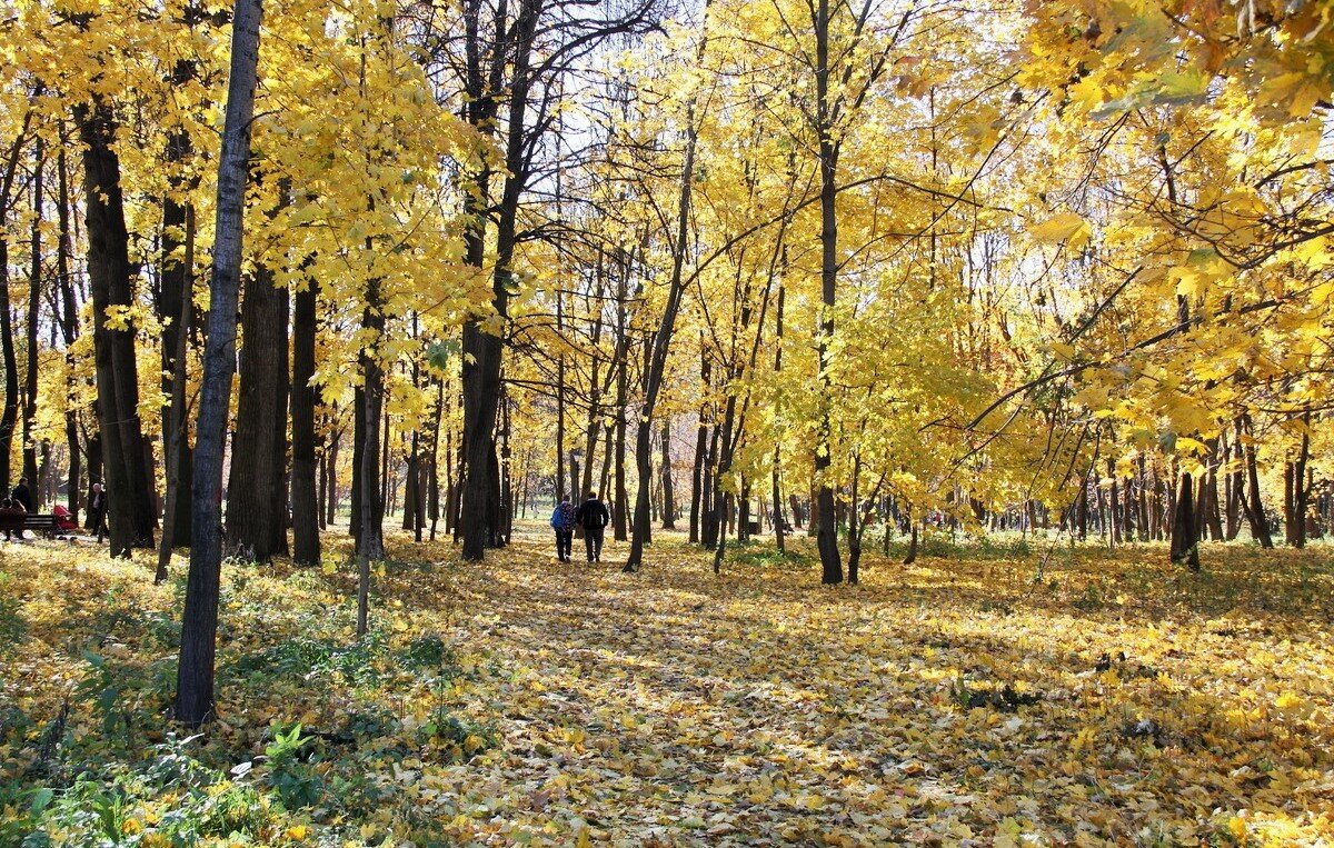 осень - Владимир Холодницкий