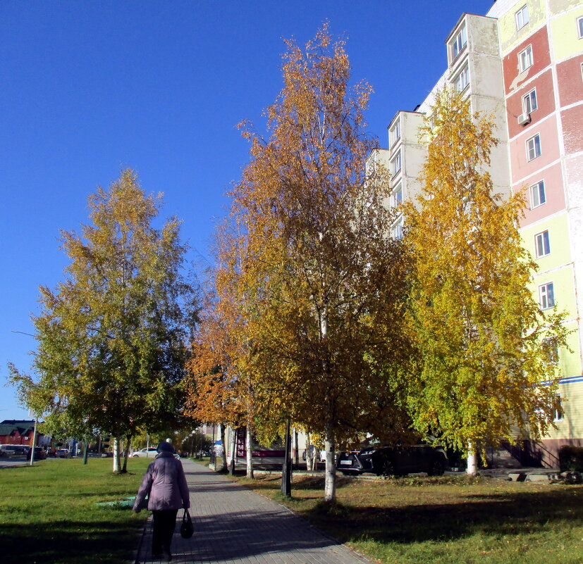 Городские зарисовки - Наталья Пендюк Пендюк