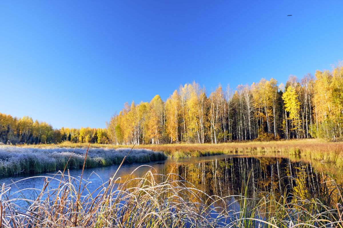 Осенний пейзаж - Алексей Тишин