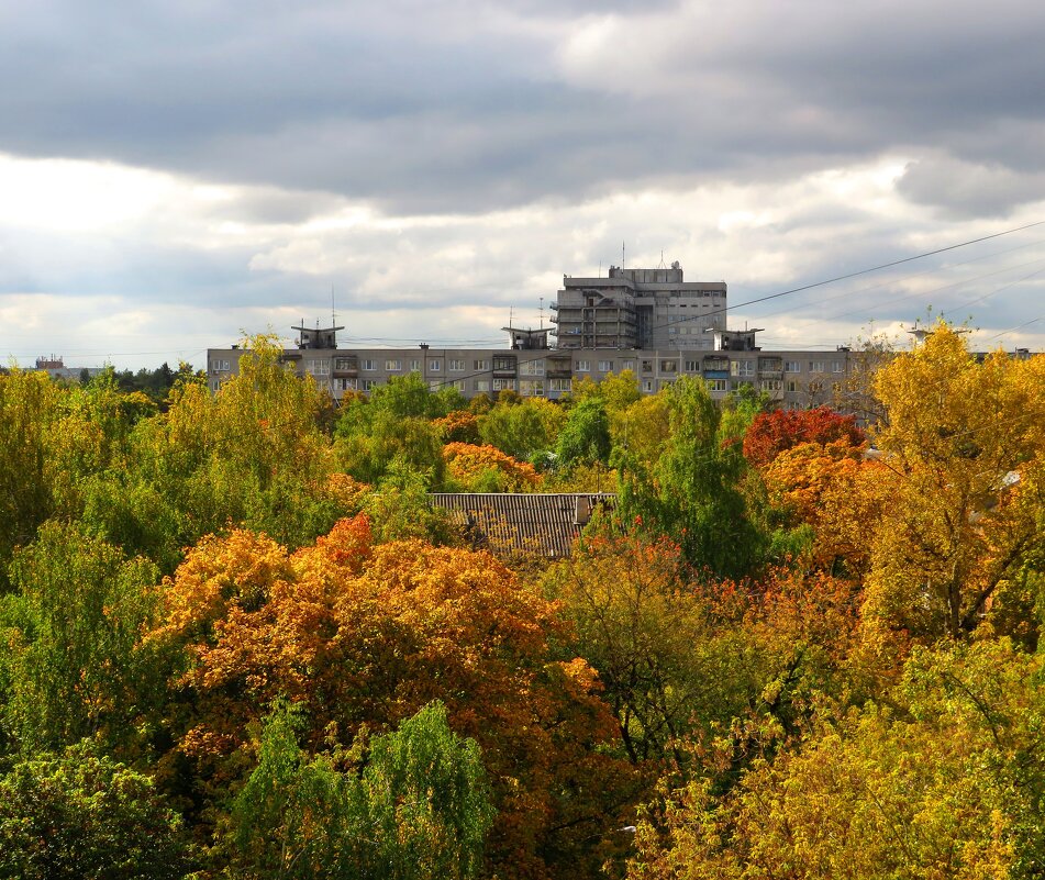 Городские краски осени - Андрей Снегерёв