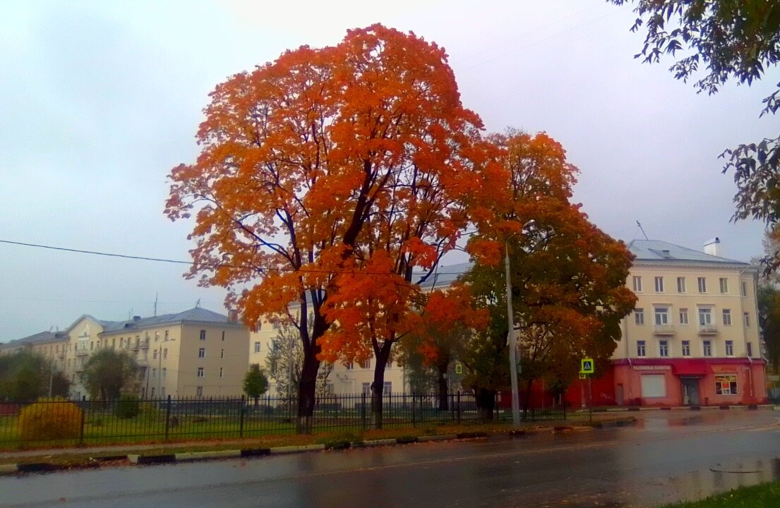 Осень в городе - Игорь Чуев