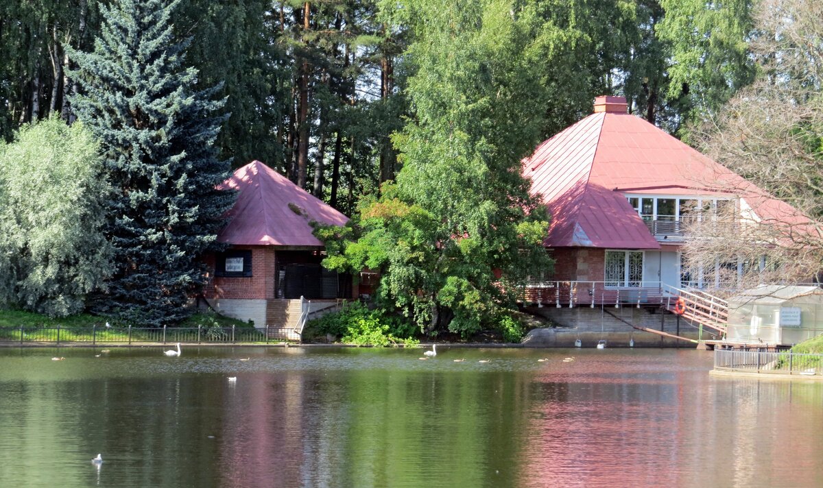 На берегу озера - Вера Щукина