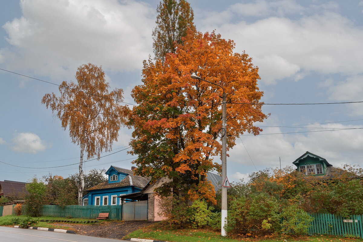 Дмитровская осень. - Анатолий. Chesnavik.