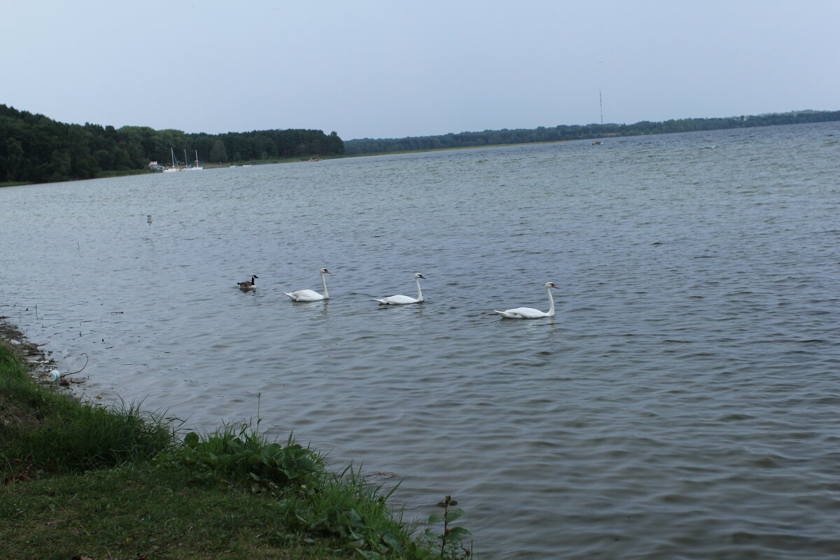 Озеро Нарочь - Nonna 