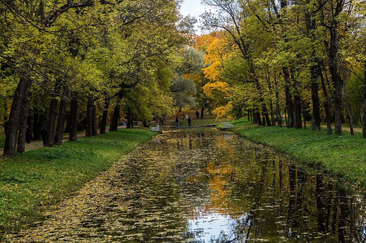 Осенний парк - Ирина Соловьёва