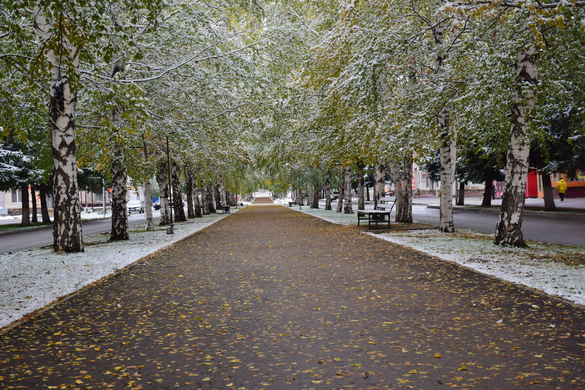 Осень - Староверов Александр 