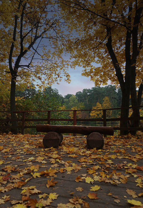 Осень в парке ... - Лариса Корженевская