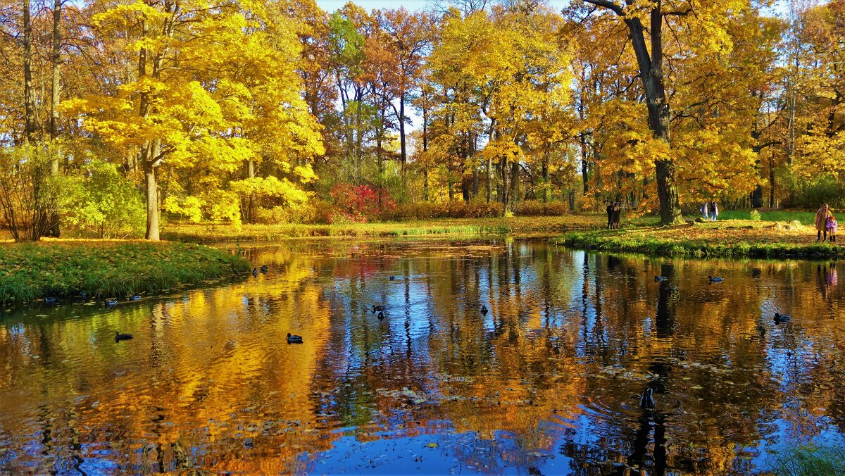 Золотая осень в Екатерининском парке... - Sergey Gordoff