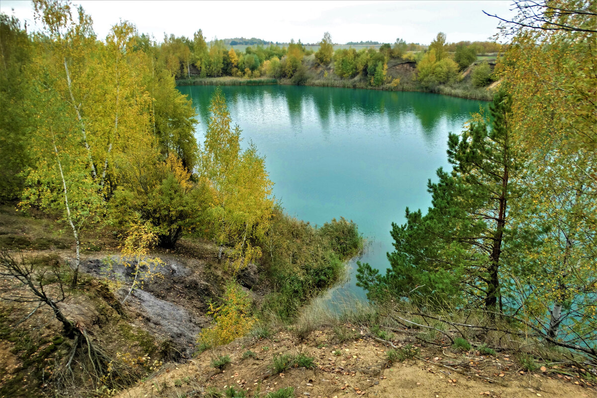 Зеленое озеро - Елена Макарова
