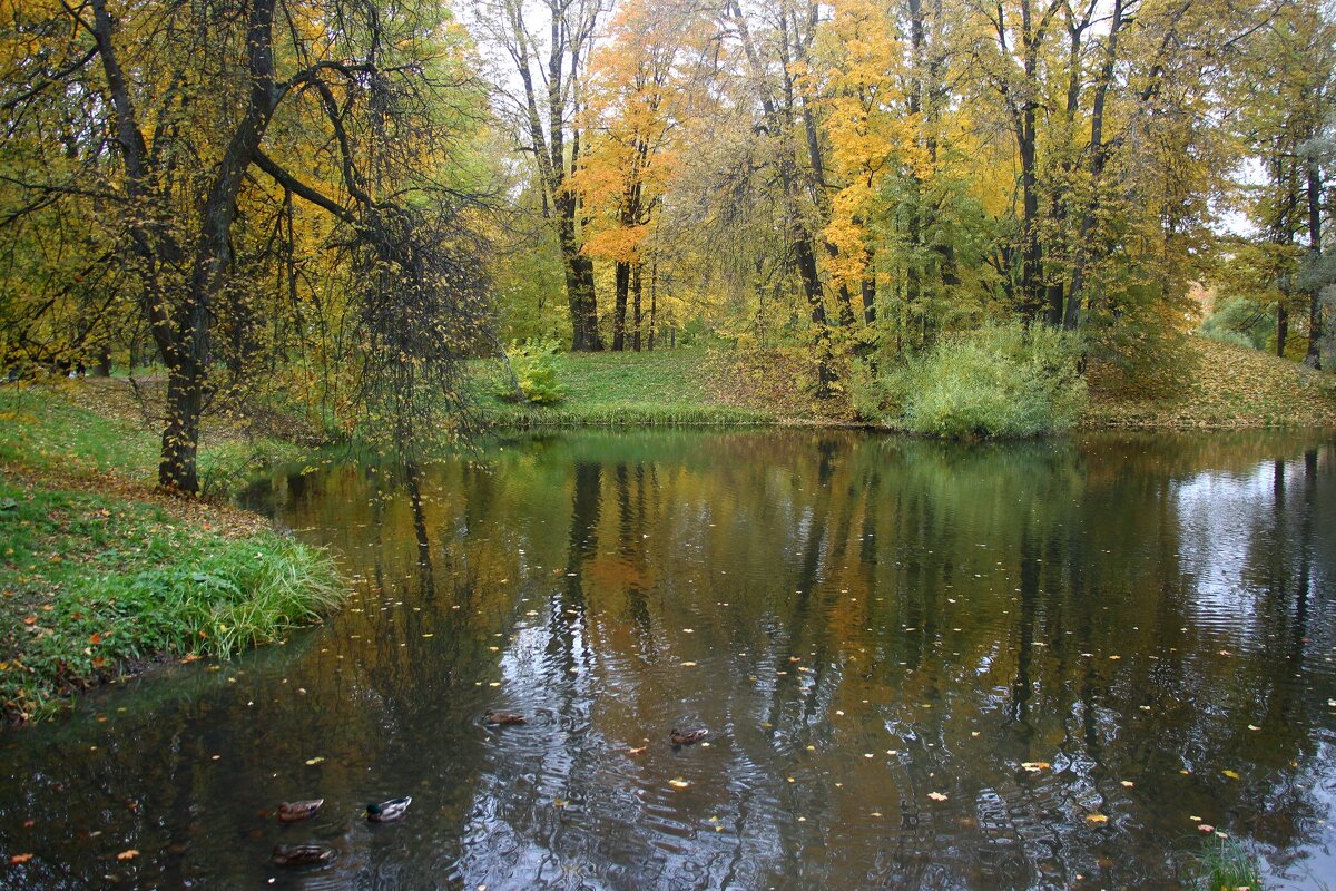 Александровский парк - Наталья Герасимова