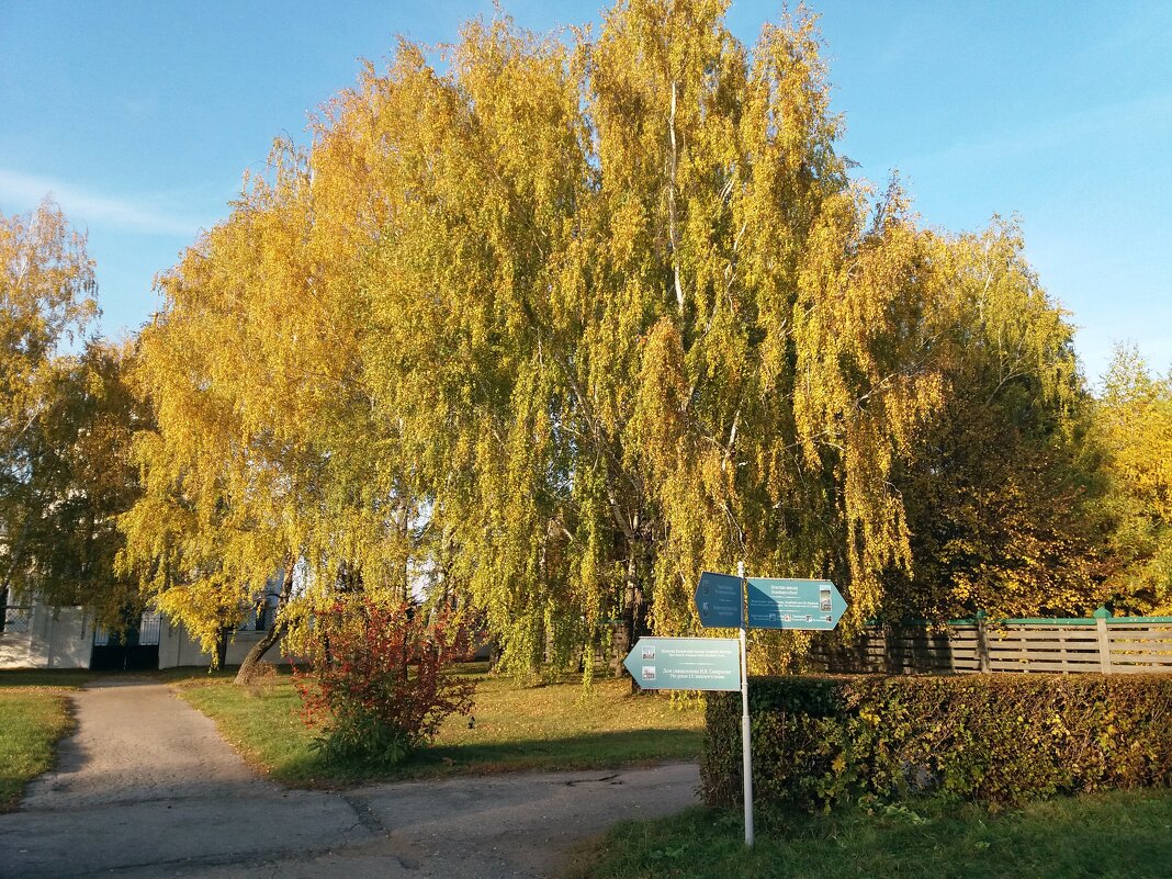 Золотая осень в Константиново - Galina Solovova