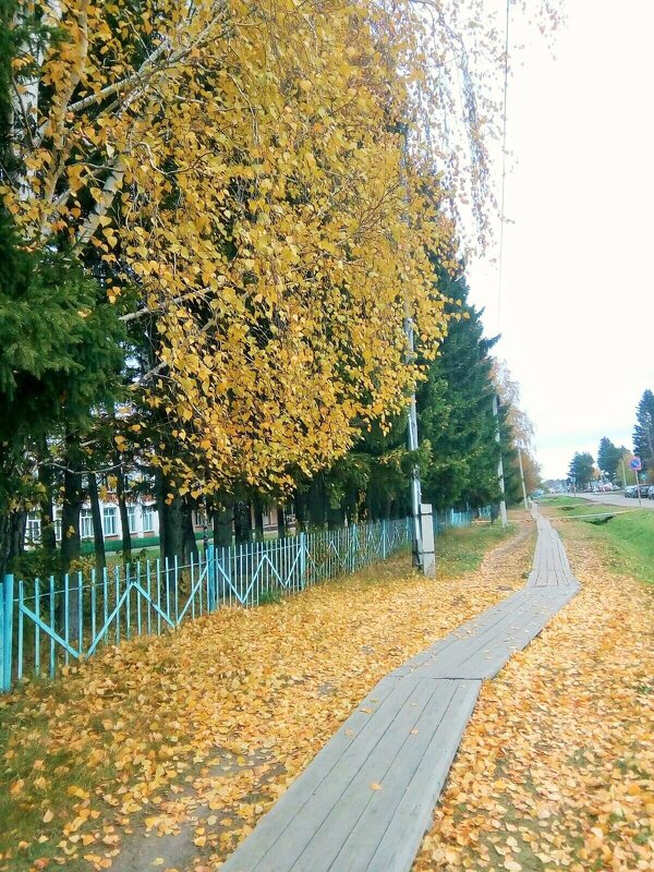 Сибирский тротуар - Надежда 