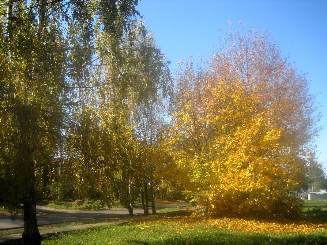 Осень в с. Заворово - Елена Семигина