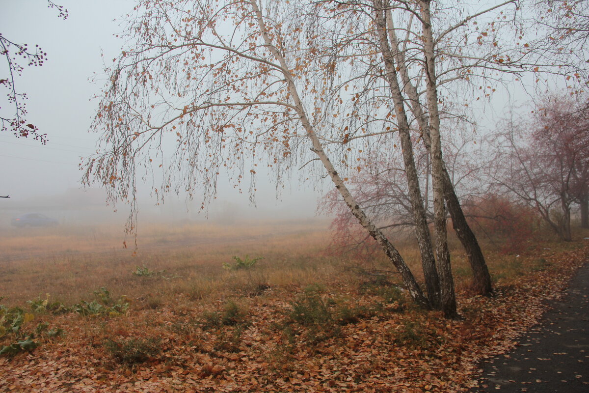 Осенний туман - victor Lion