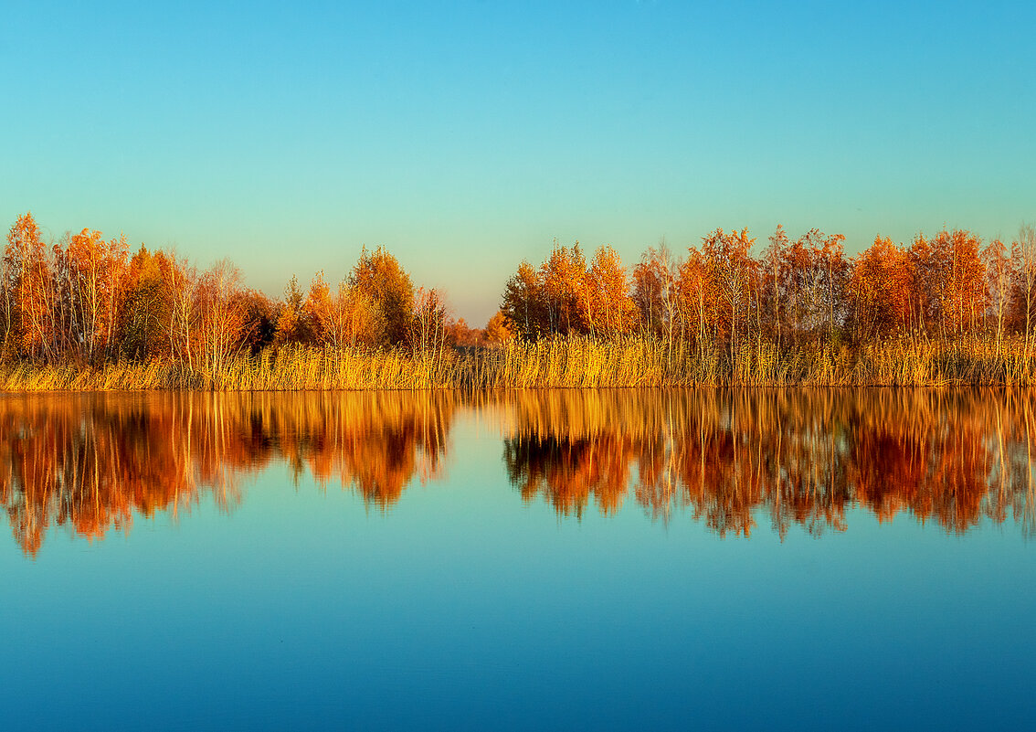 озеро в лесу - Олег Белан