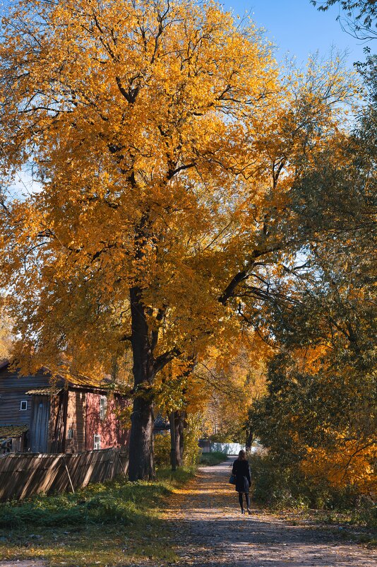 Осень в городе - Aleksey Mychkov