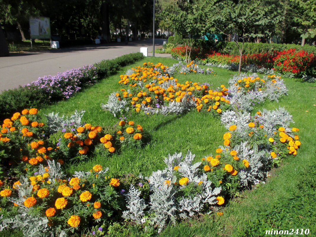 Цветники в парке - Нина Бутко