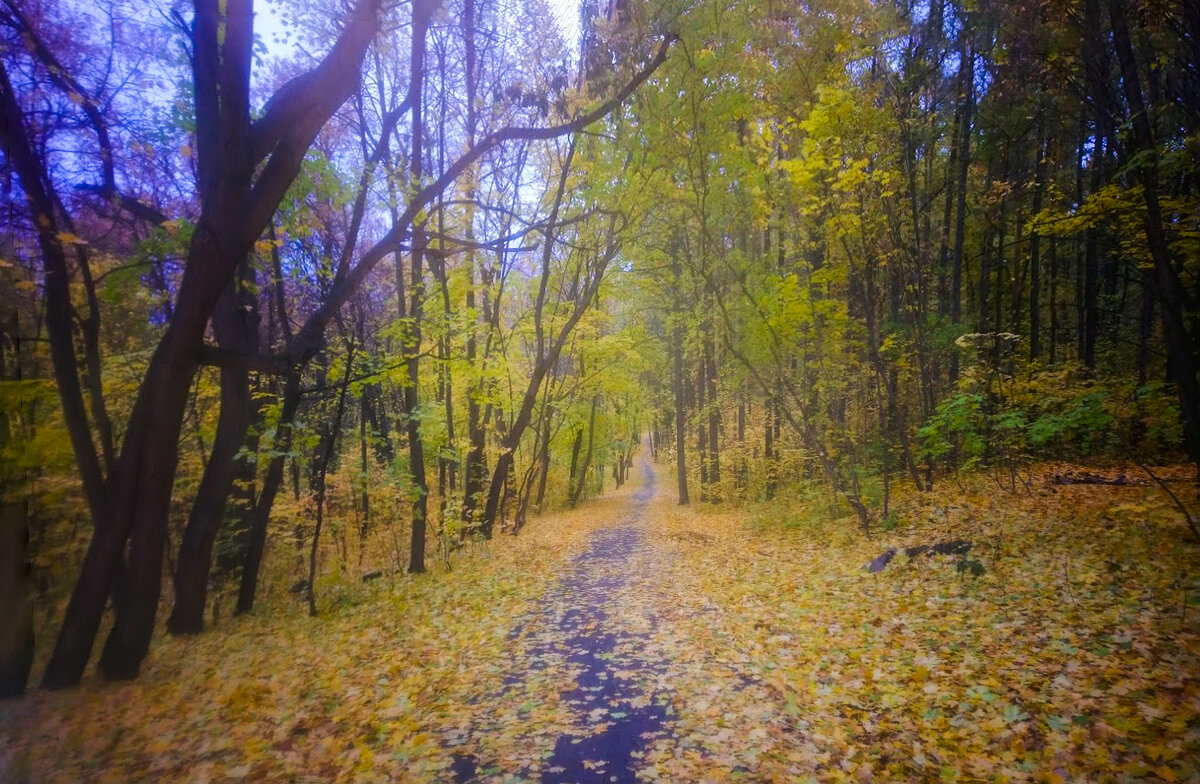 Осень - Георгий Морозов