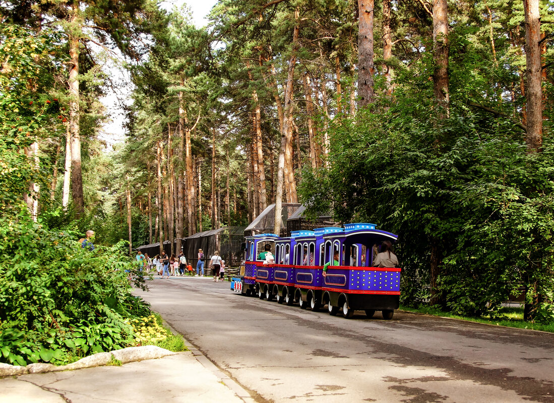 По аллее зоопарка - Сергей Царёв