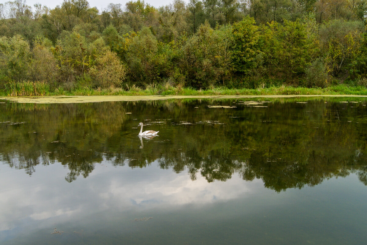 Осенью на озере - Игорь Сикорский