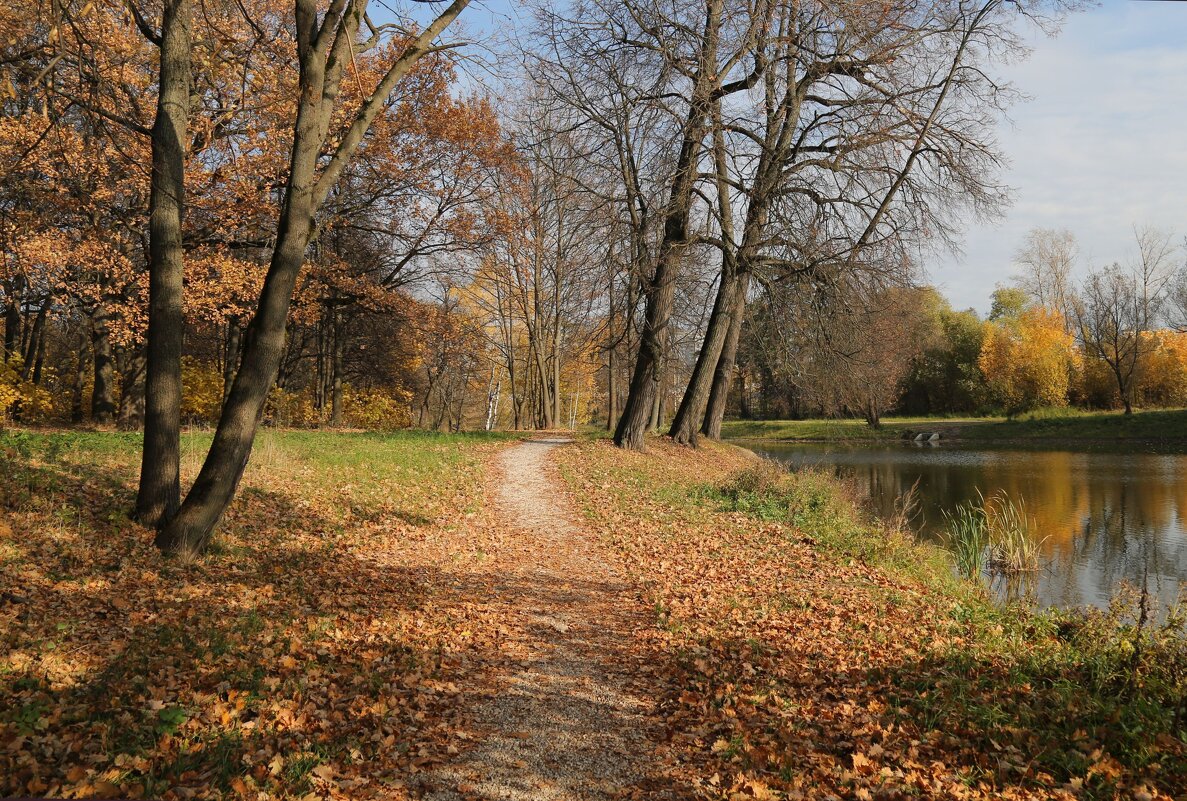 Осенний пейзаж - ZNatasha -