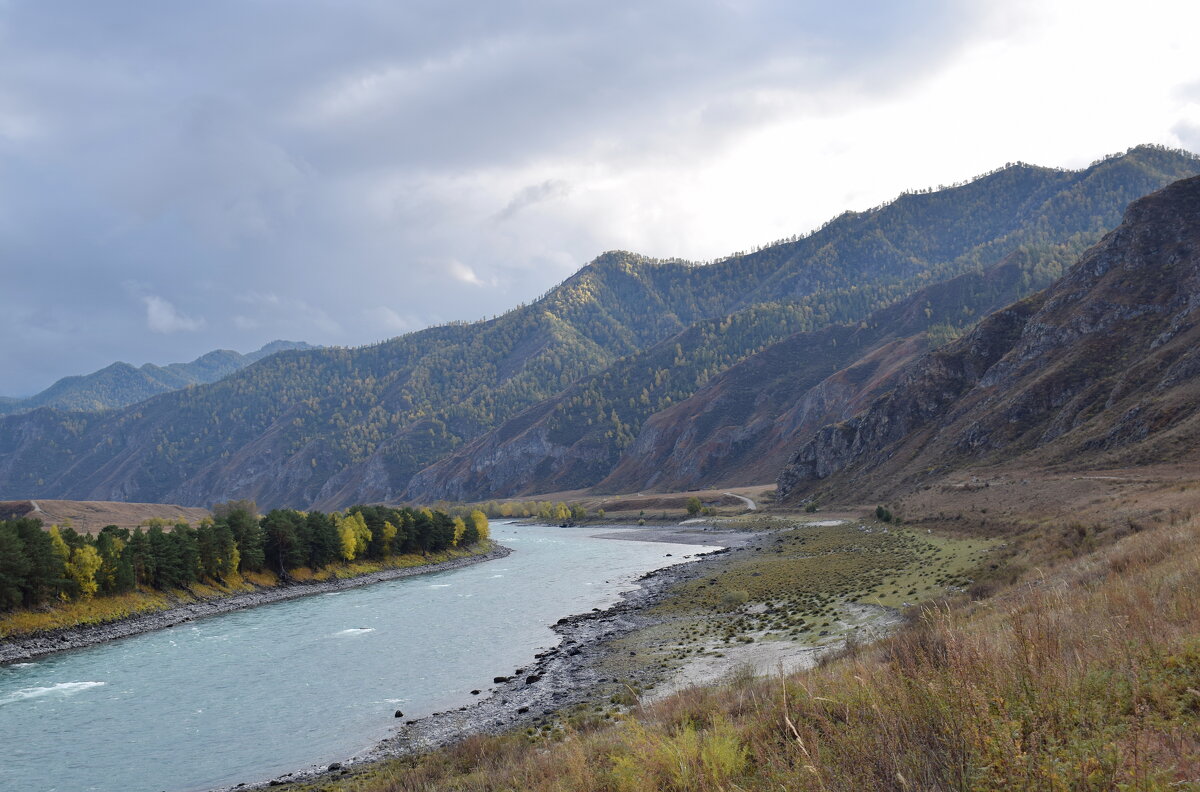 Катунь,осень - nataly-teplyakov 