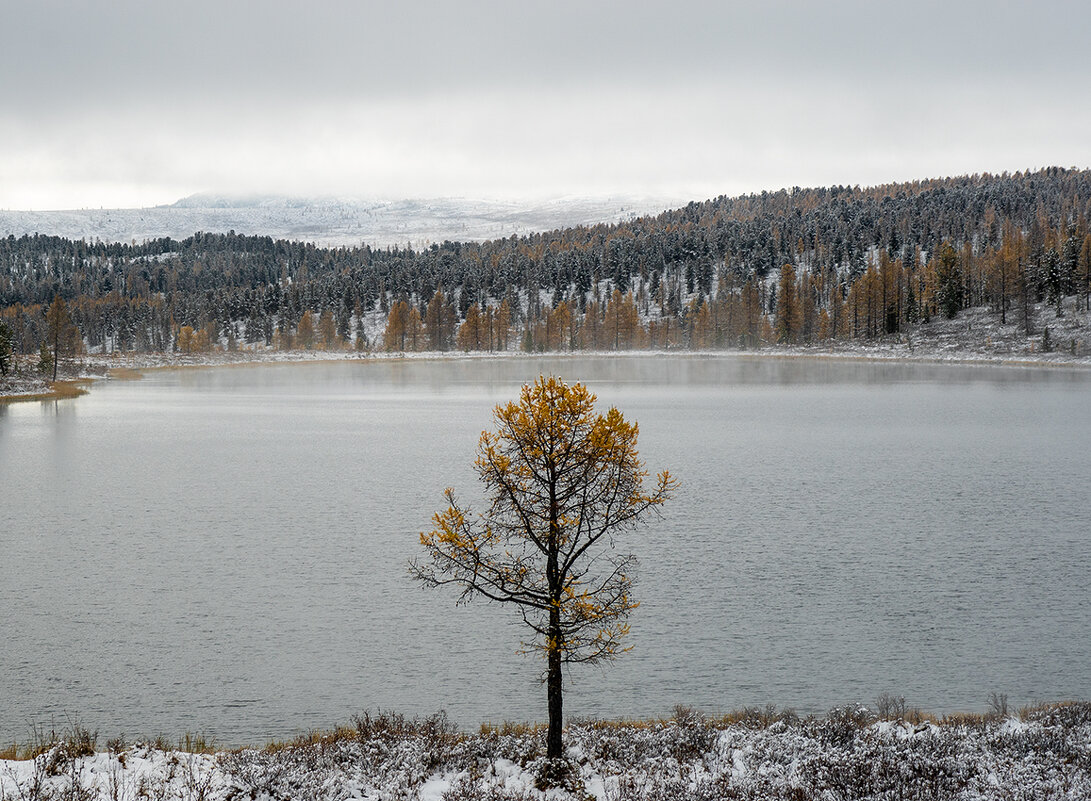 Озеро Киделю Алтай