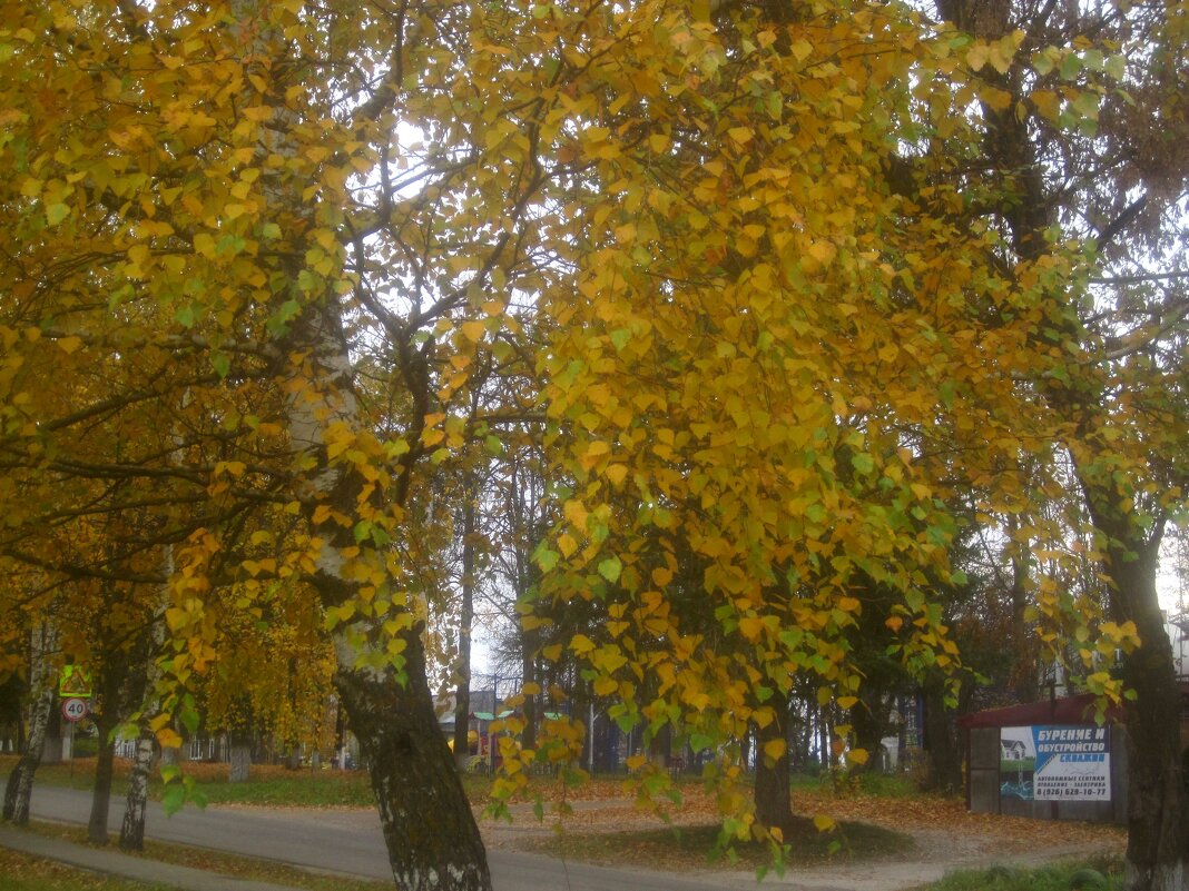 Осень в с.Заворово - Елена Семигина