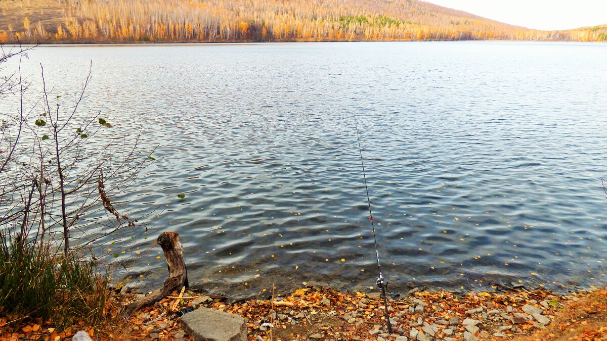 Осенняя рыбалка - Oksana ***