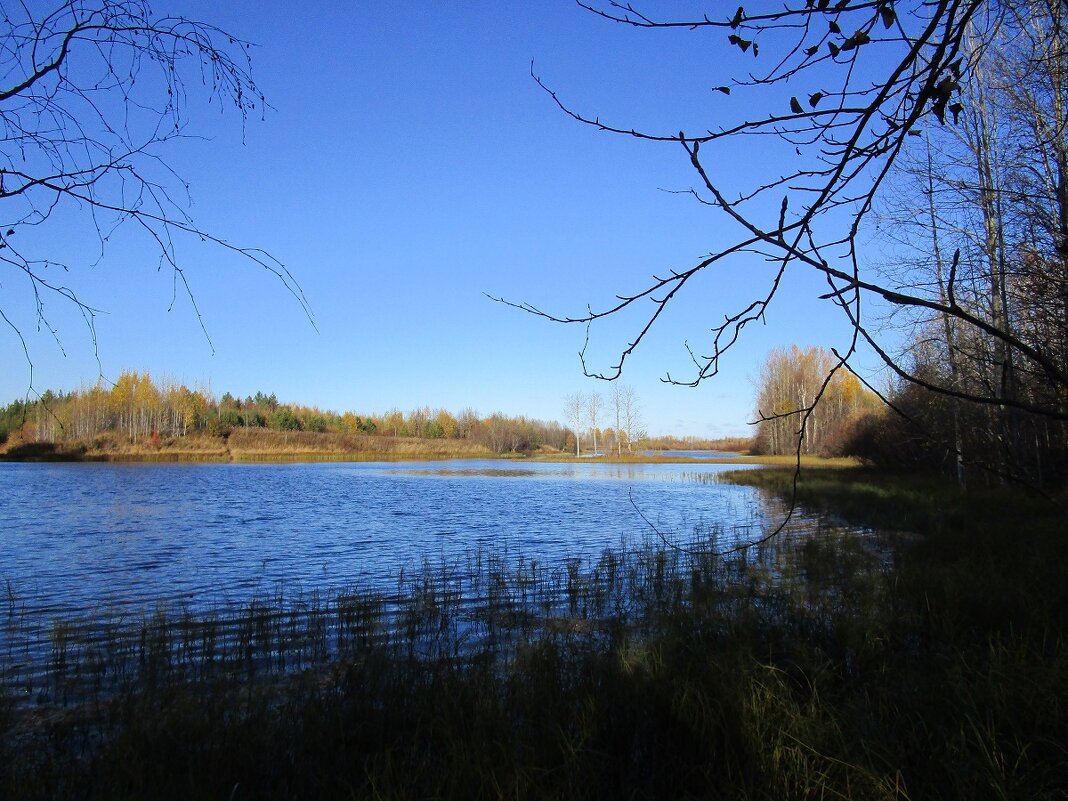 Река Пеновка служат источником воды для поселений. - ЛЮДМИЛА 