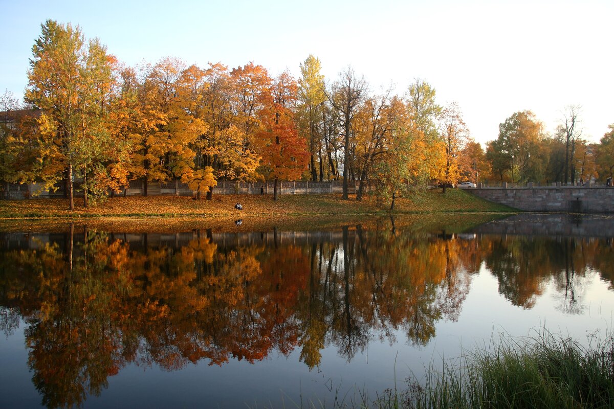 Царское Село. Октябрь - Наталья Герасимова