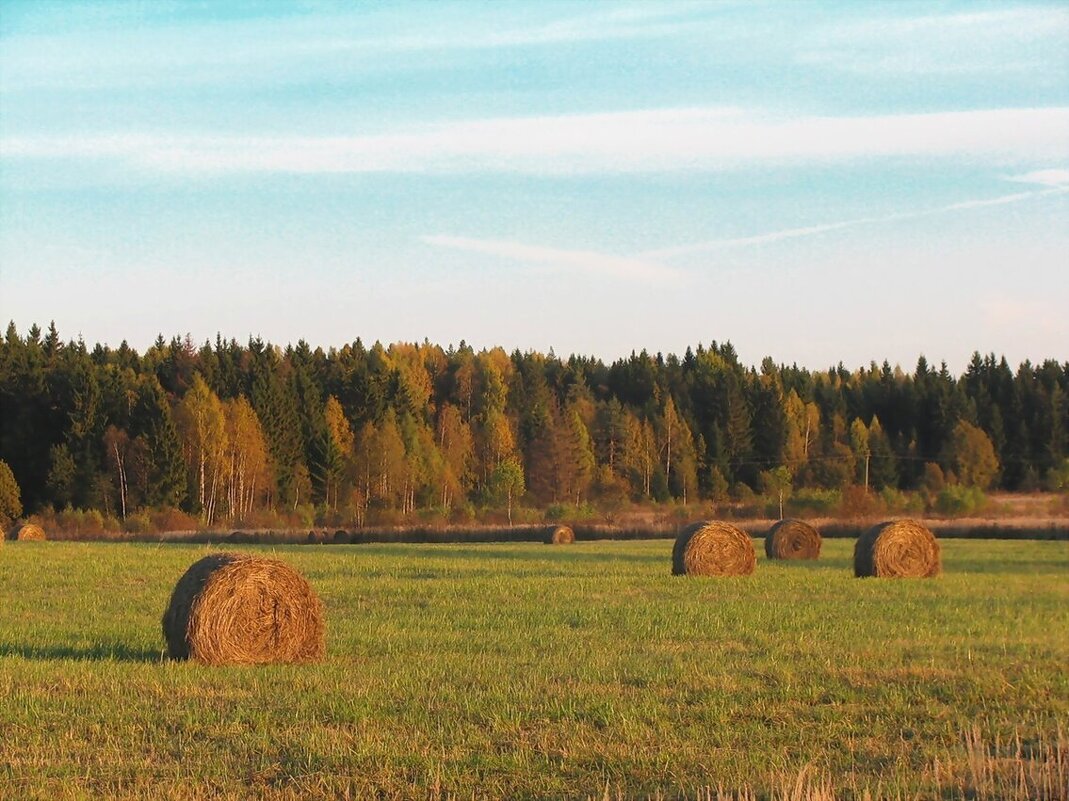 Осень - Людмила Смородинская