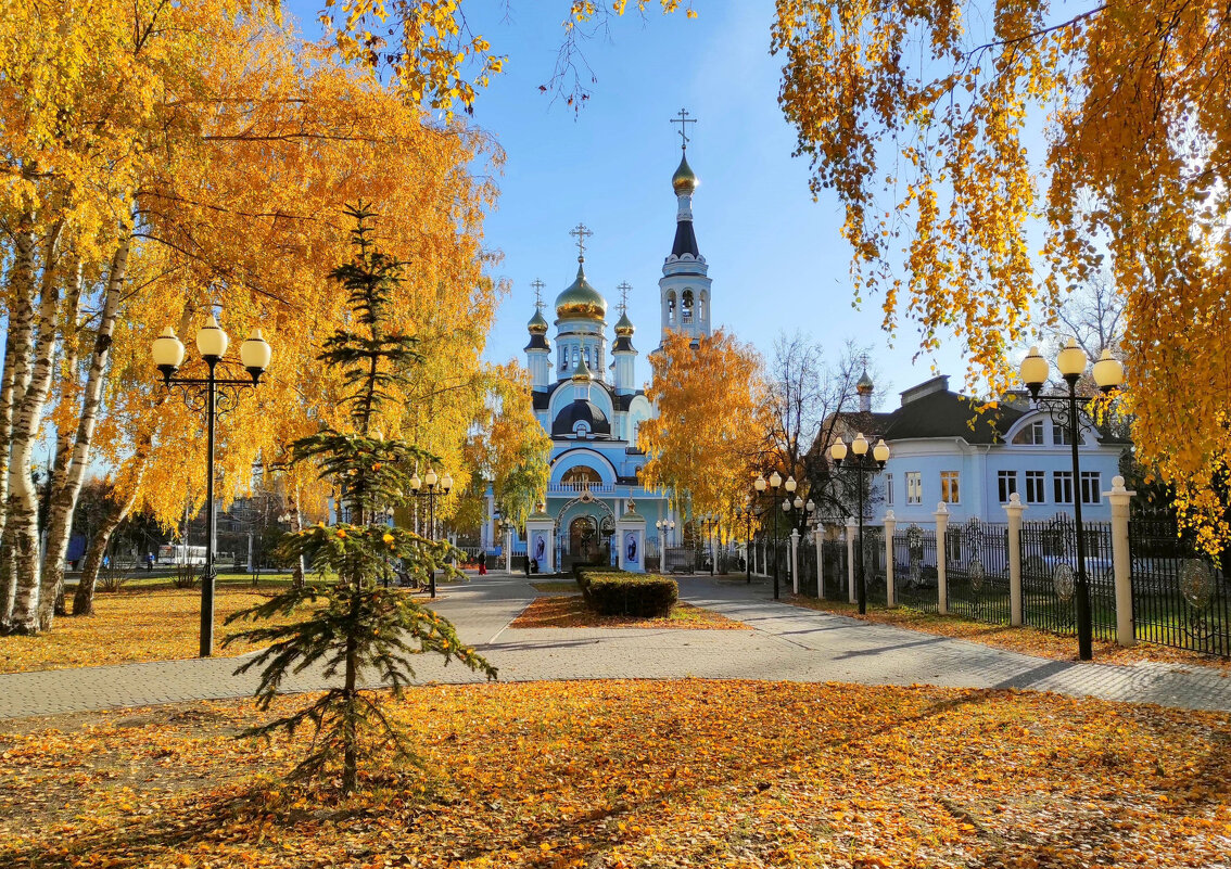 Янтарная осень в Чебоксарах - Ната Волга