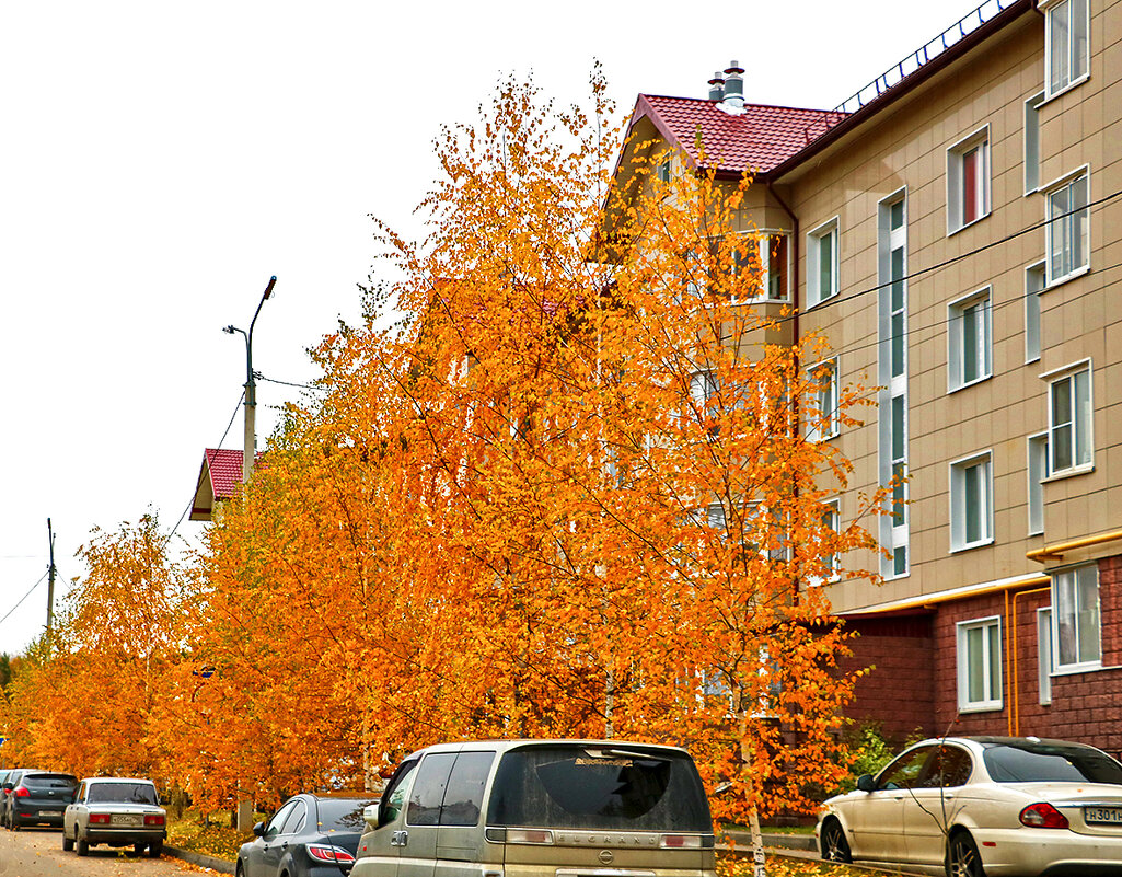 Золотая осень в городе - Светлана 