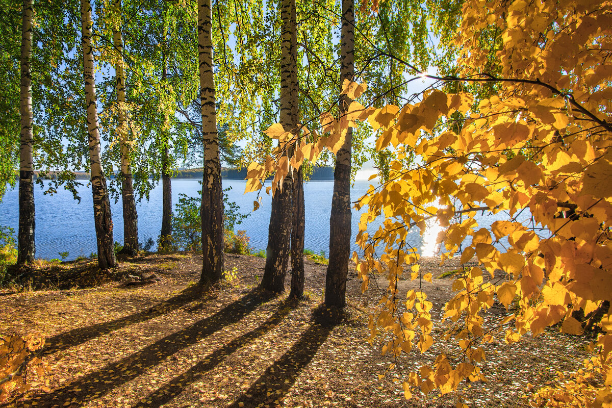 На озере осень - Vladimbormotov 