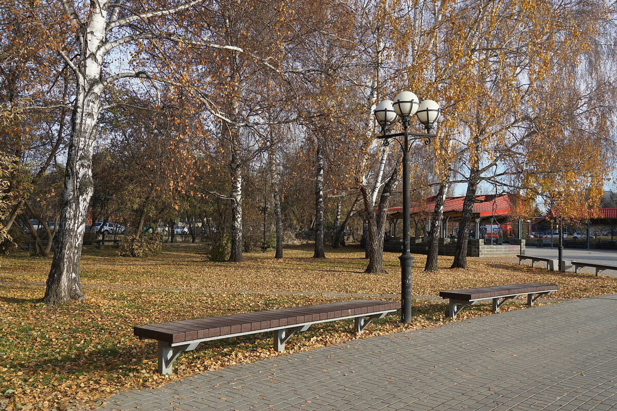 Парковые зоны вокруг Белого озера (Томск) - Галина Кан