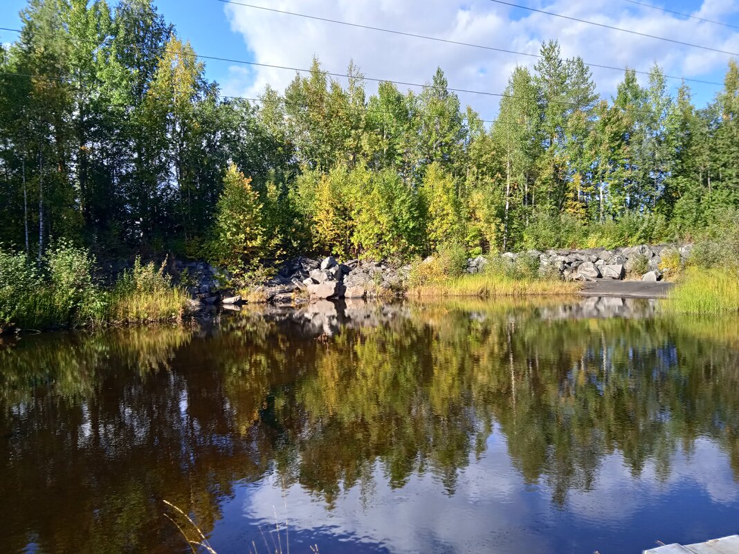 Лес - Vladislav 