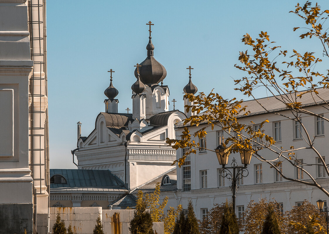 Николо-Угрешский монастырь - Дмитрий Балашов
