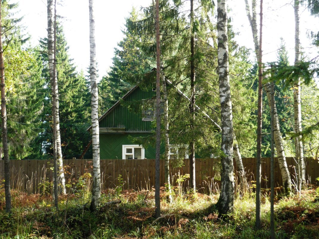 Домик в лесу - Вера Щукина