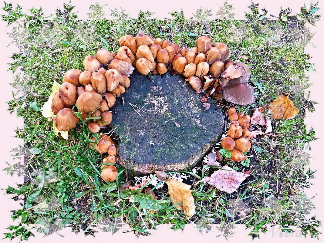 Осенний грибной хороводик - veera v