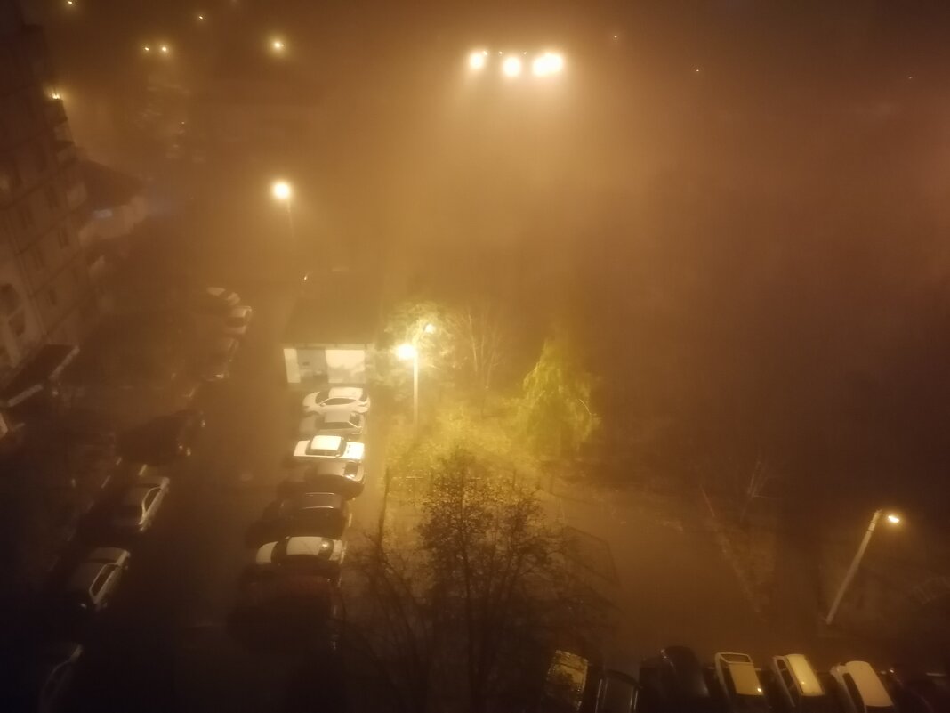 Ночной туман. Осень - Сергей Тимоновский
