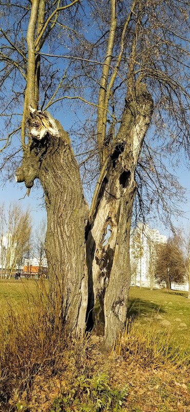 Жизнь продолжается - Надежда Буранова 