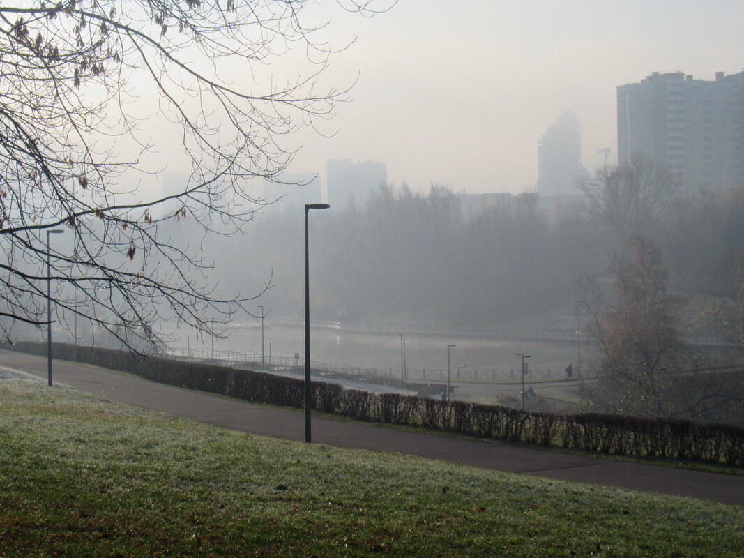 Туман в парке Олимпийской деревни - Александр Чеботарь