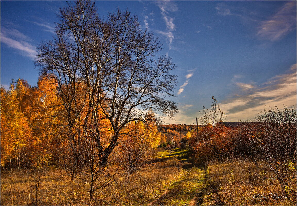 "Ушедшая золотая осень" © - Владимир Макаров
