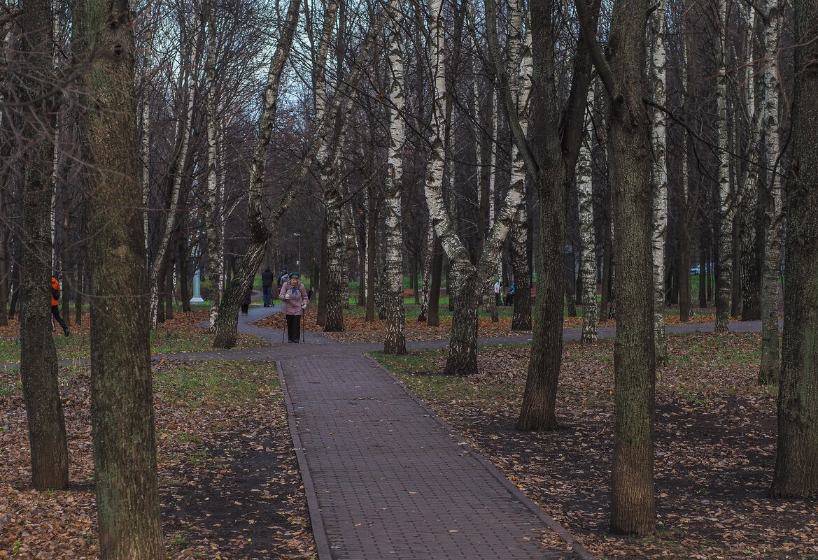 По Осеннему Парку - юрий поляков