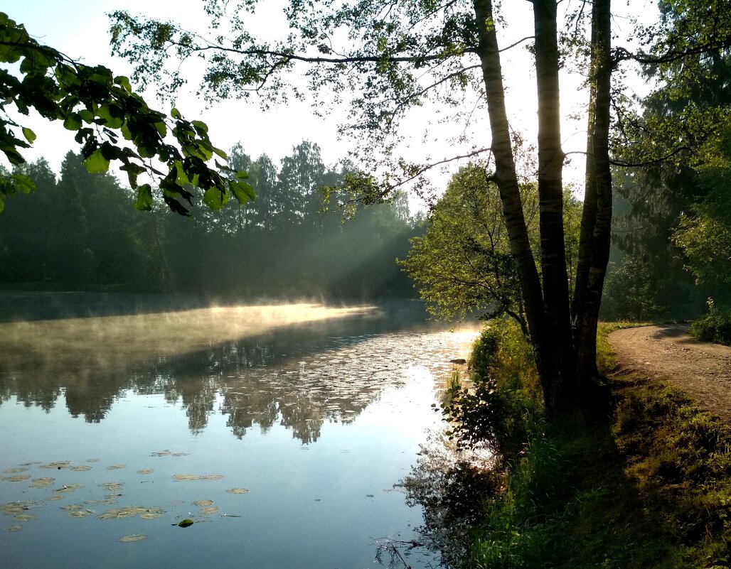 Smoke on the water - Алексей Смирнов