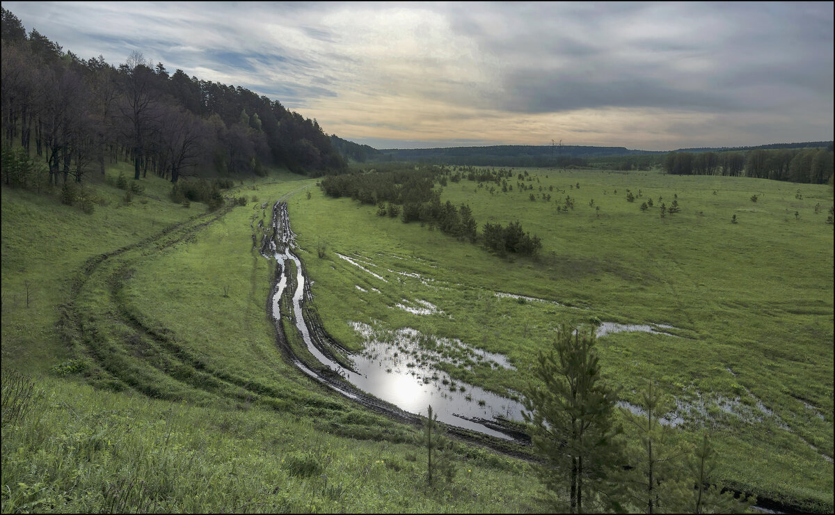 Проселок - vedin 