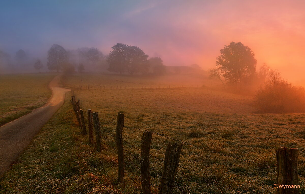 misty morning - Elena Wymann